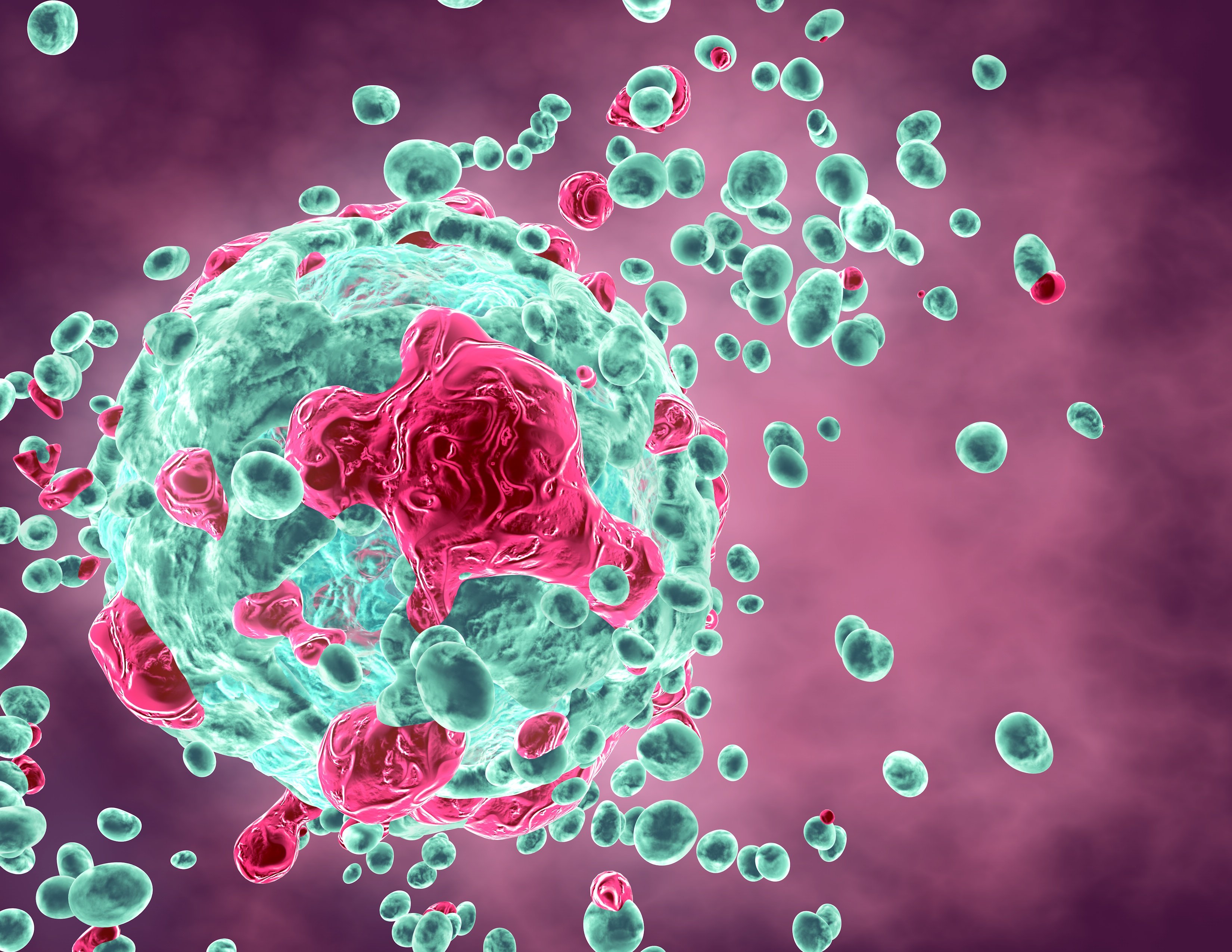 Cancer attacking an organism.