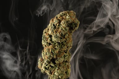 A cannabis bud