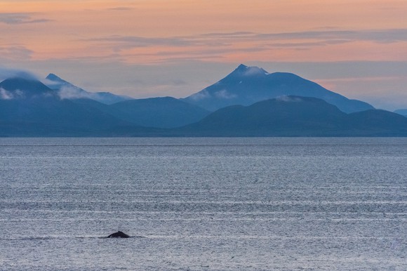 Bristol Bay, Alaska, with mountains in the background. 