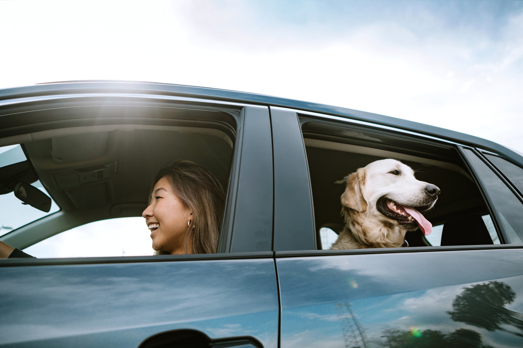 A person in the driver's seat of a car and a dog looking out the back window.