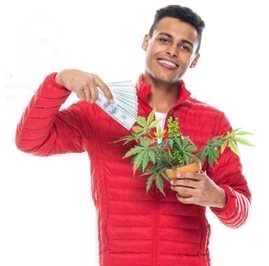 marijuanaGettyImages-1226839671