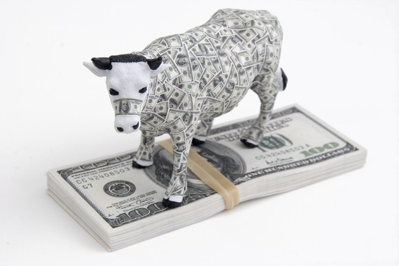 A cow covered in cash standing on top of a stack of U.S. $100 bills.