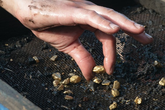A hand picks up gold nuggets from the dirt in a sifting basket.