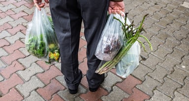 slide 10 - grocery bags - source getty