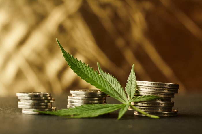 Marijuana leaf on stacks of gold coins