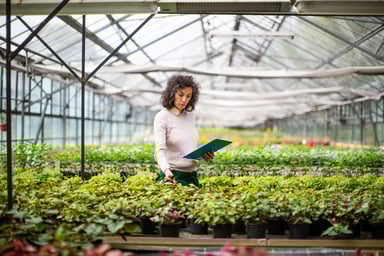 woman inspecting a plant 