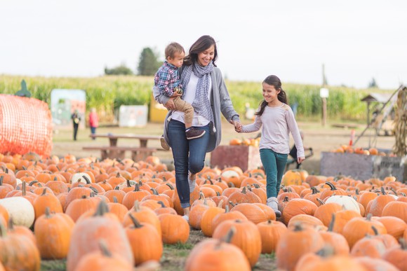Adult with two children walking through a field of pumpkins.