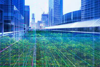 Grid lines over a city.