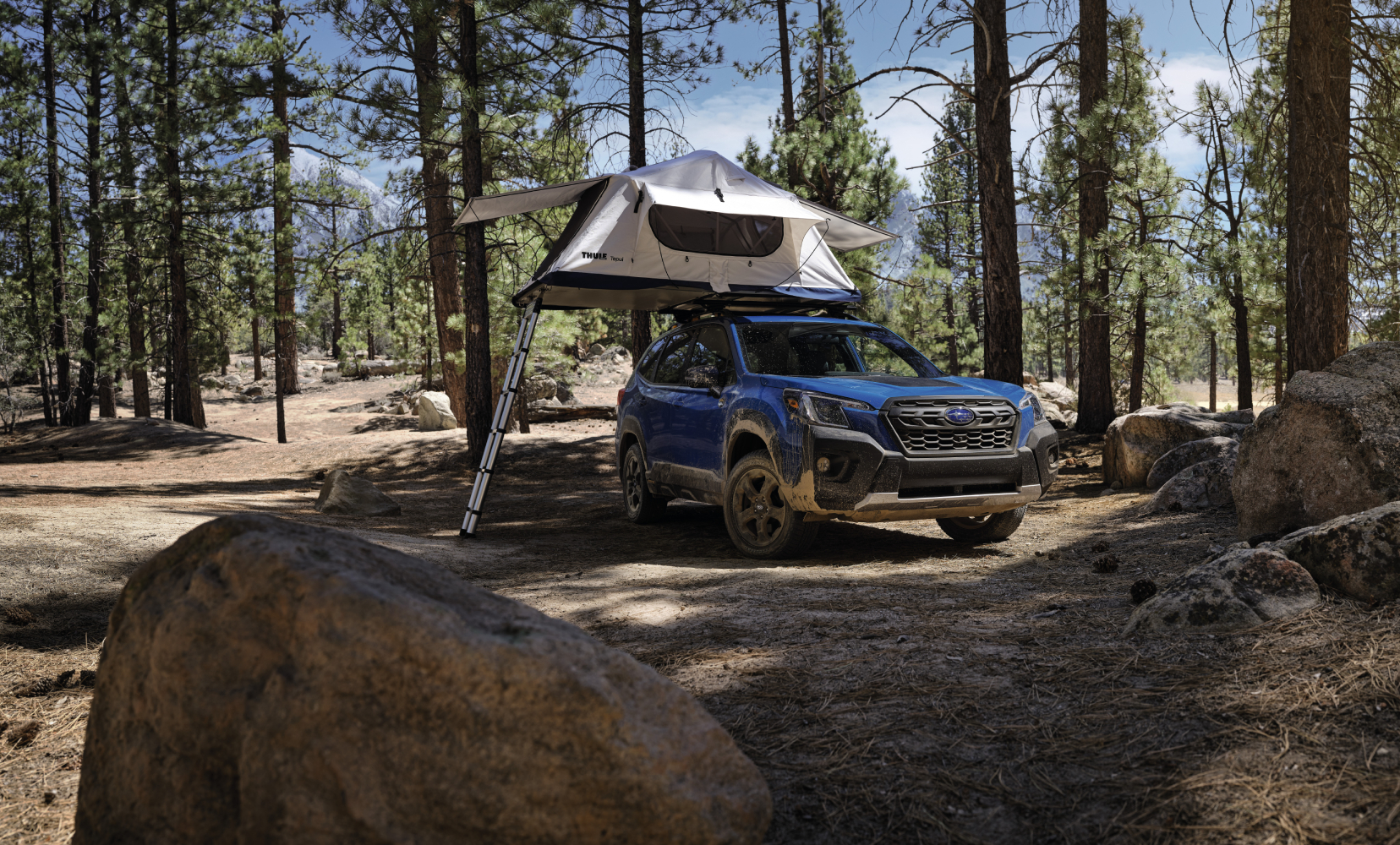 A Subaru Forester Wilderness is parked out in the woods with a pop-up tent open on its roof and a roof in the foreground.