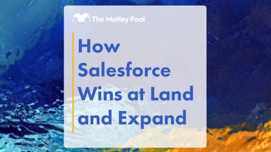 How_Salesforce_Wins_at_Land_and_Expand