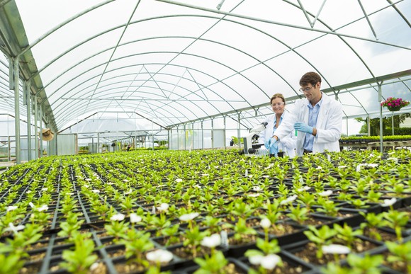 Two scientists working in a greenhouse.