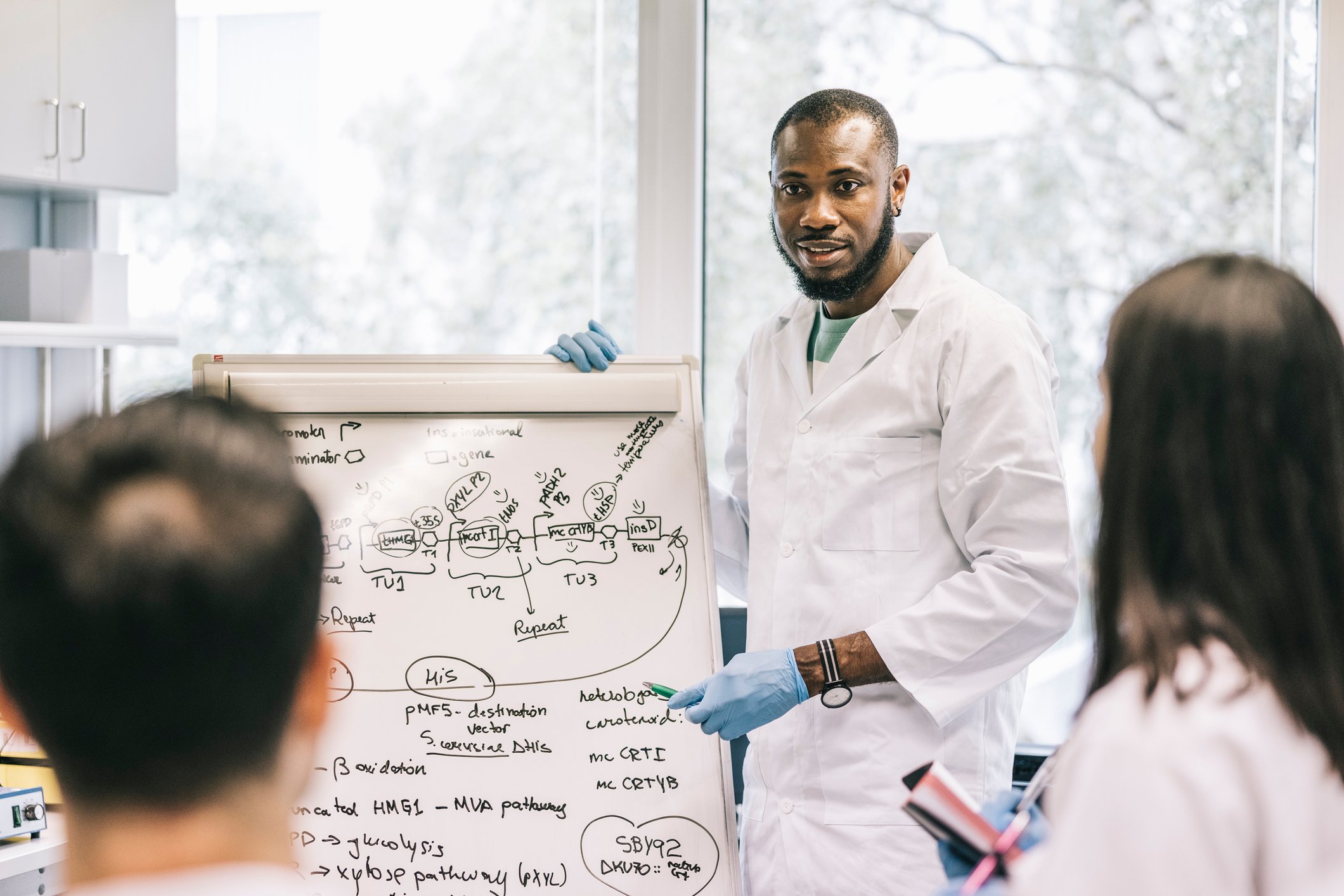 A scientist in a laboratory draws a diagram on a board while two of their colleagues watch.