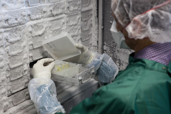 A lab worker retrieves a sample from an ultra-low temperature storage unit.