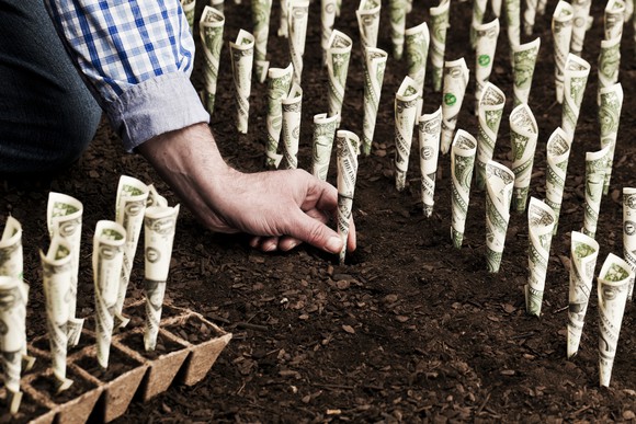 A person planting dollar bills in a garden.