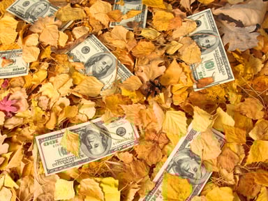 Money in leaves
