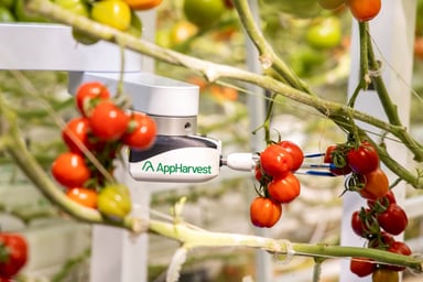 AppHarvest Robot Picks Tomato