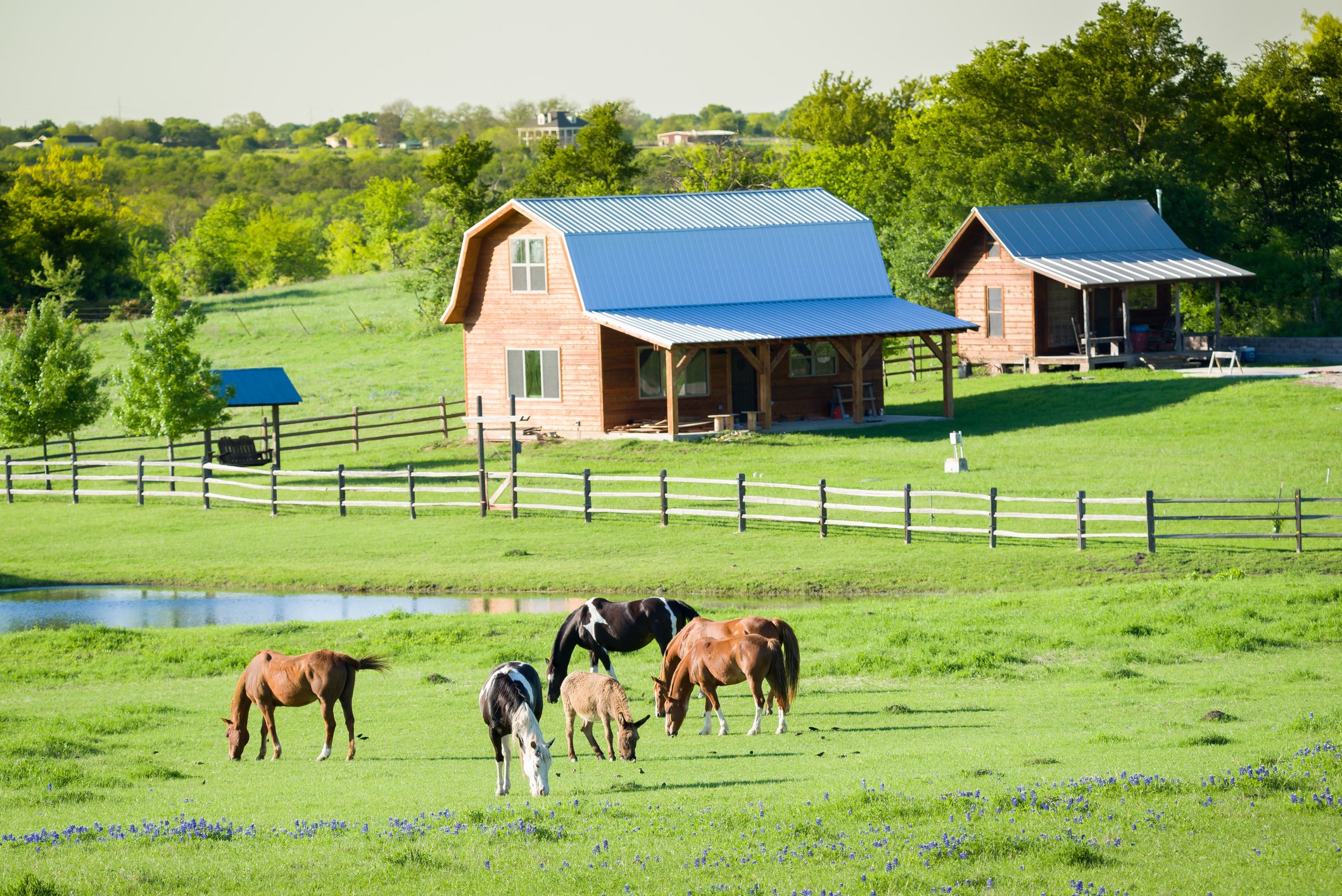 A farm during summertime.