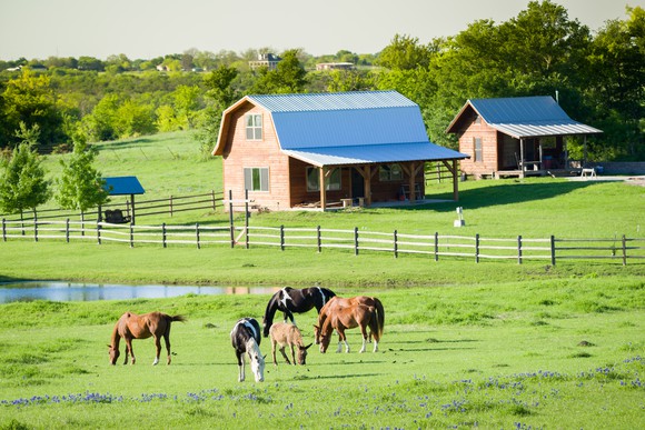 A farm during summertime.