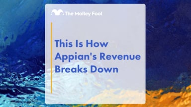 This_Is_How_Appian_s_Revenue_Breaks_Down