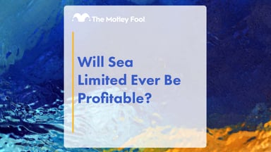 Will_Sea_Limited_Ever_Be_Profitable