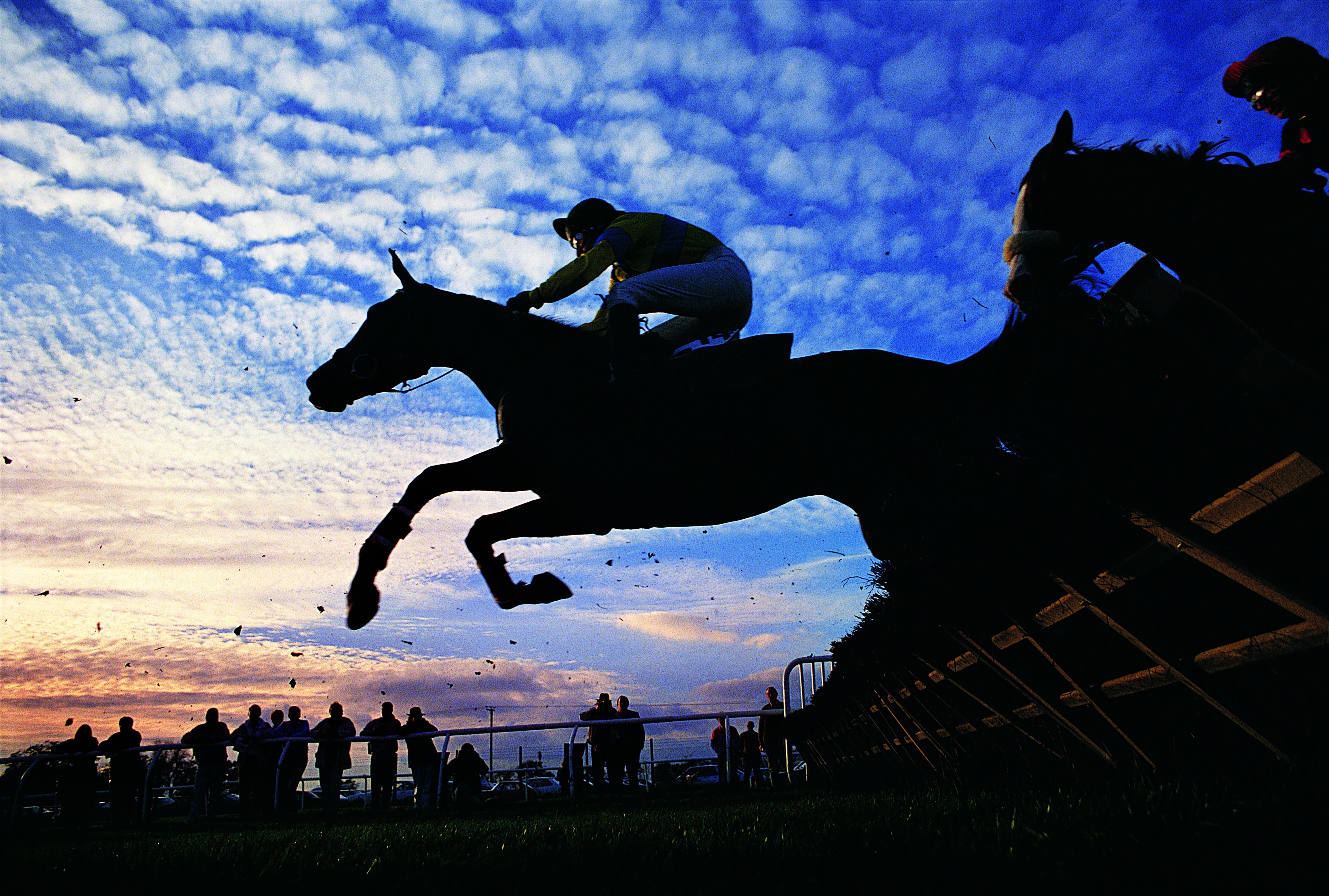 A jockey and a horse jump 