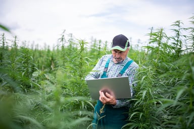 GettyImages-1311309540