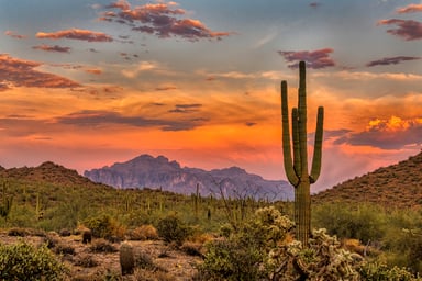 Desert land