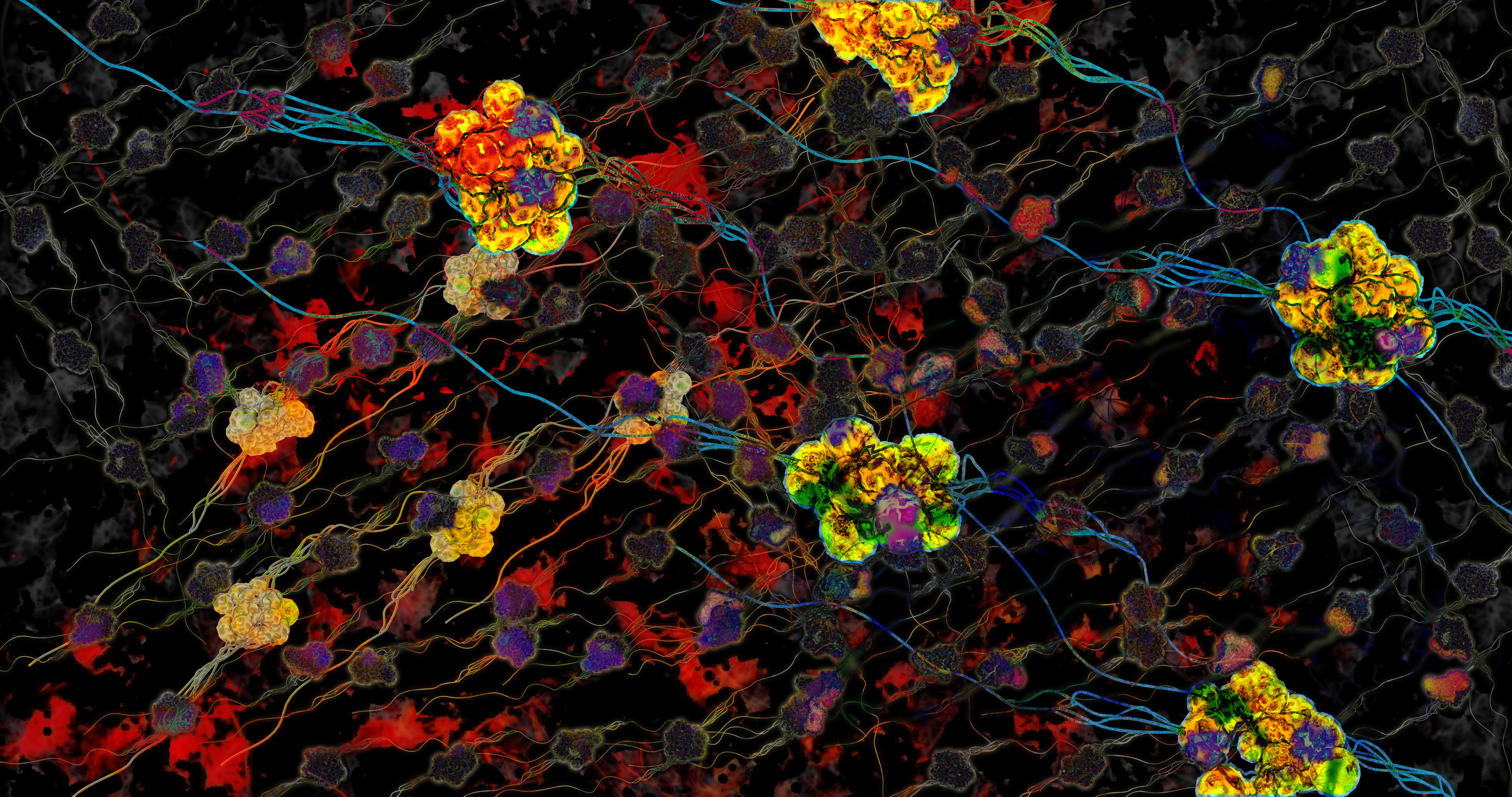 Image of dried psilocybin.
