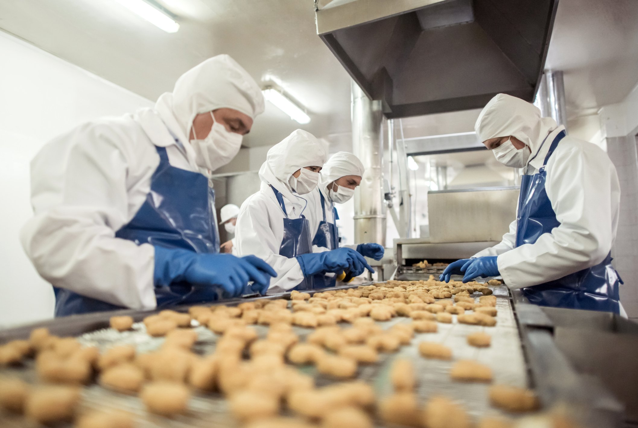 Food production facility workers examining at a converter belt.