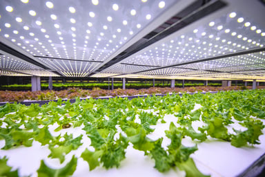 Indoor Farming