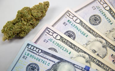 Marijuana bud with money fanned out 
