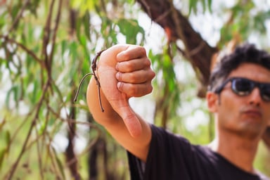 Thumbs down in forest