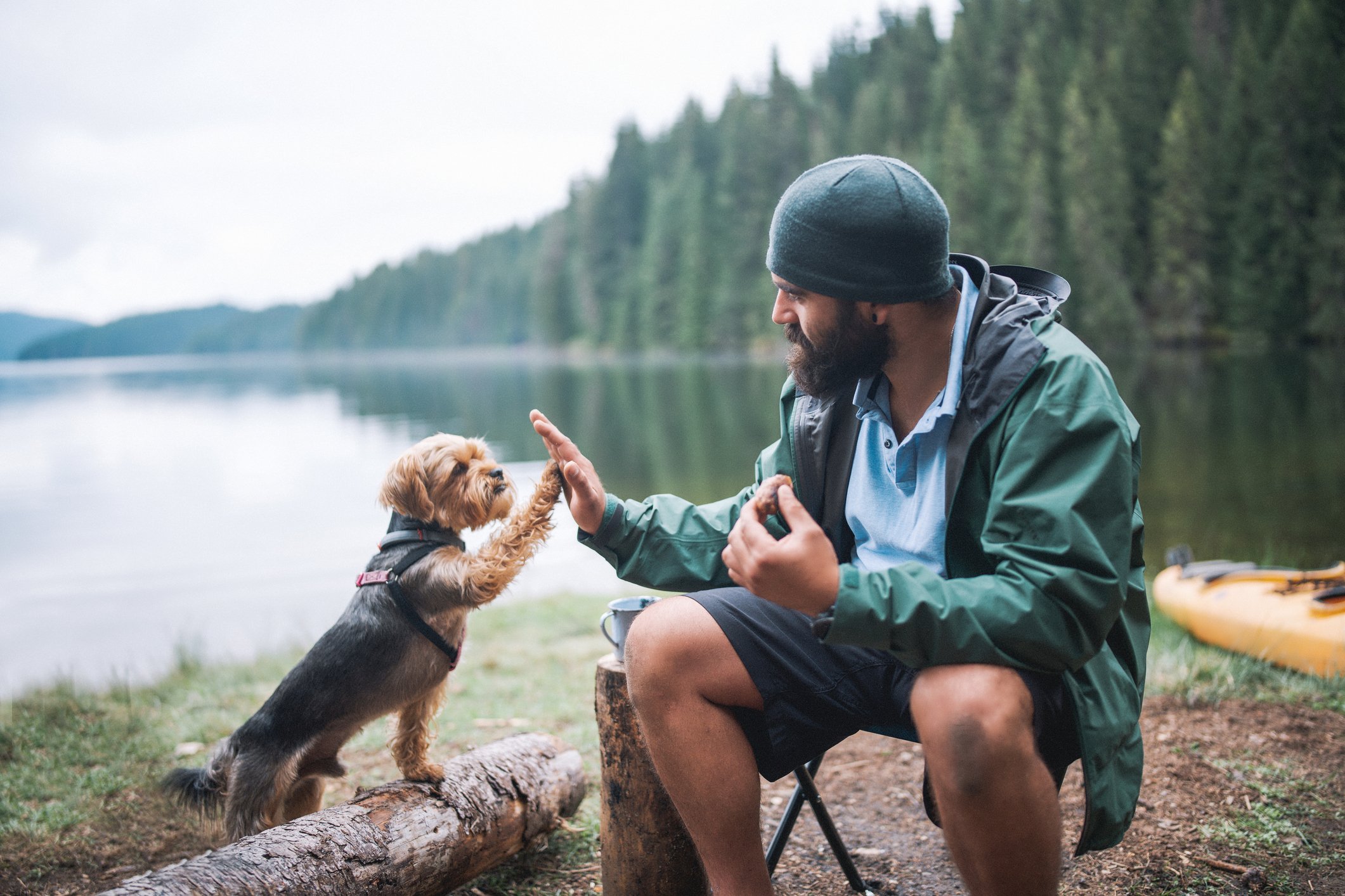 Man giving his dog a high five while camping near a lake.