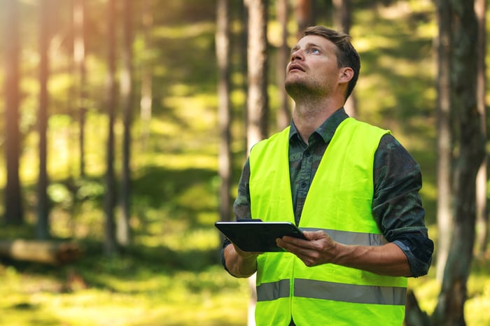 A person working with a tablet in the forest. 