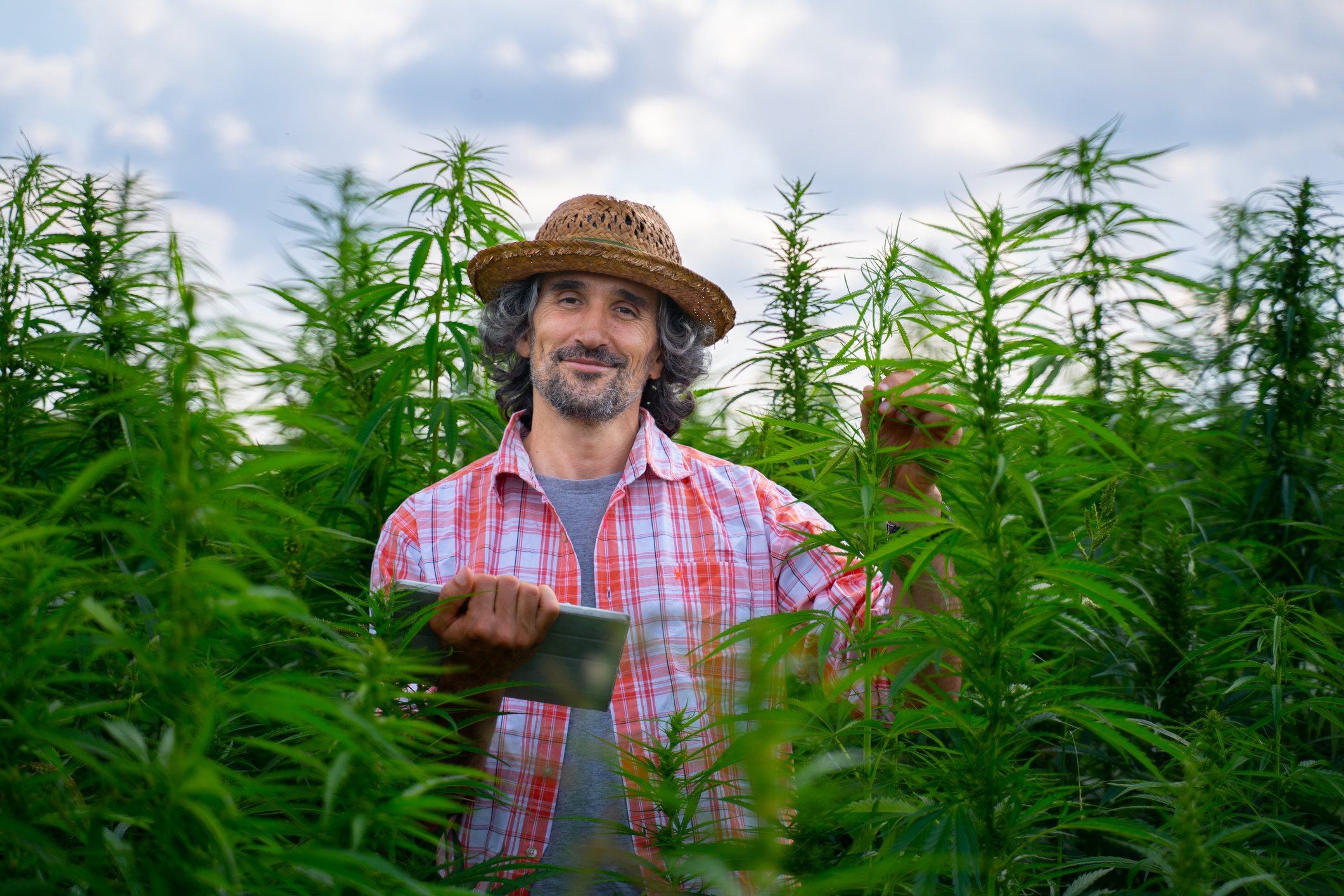 A cannabis farmer stands in a field while smiling and holding a tablet.