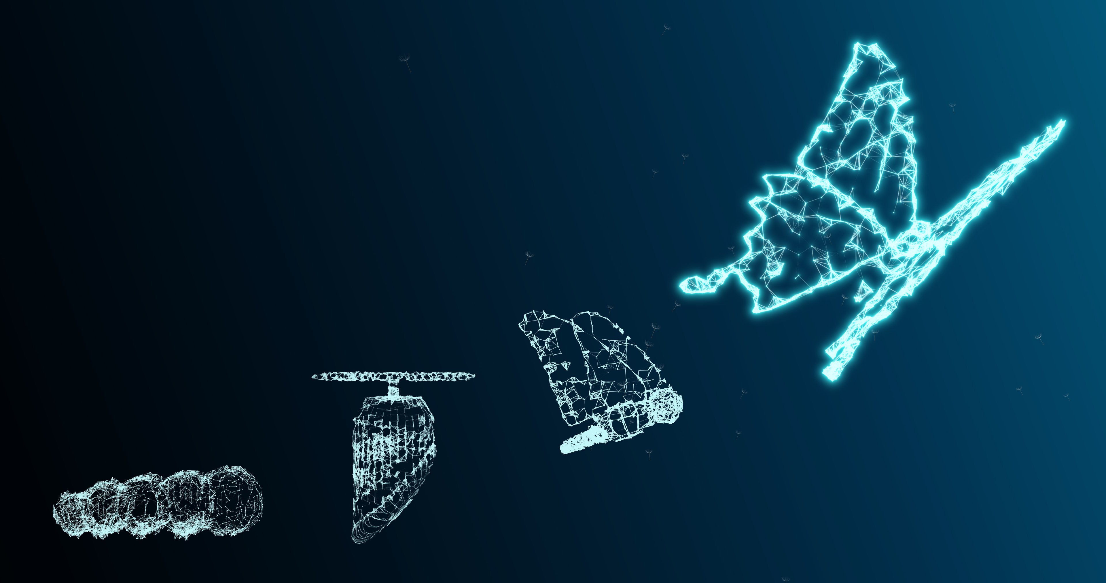 An image showing evolution from cocoon to butterfly.