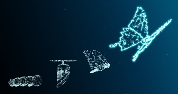 An image showing evolution from cocoon to butterfly.
