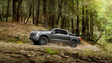 Ford F150 Lightning Off-Road