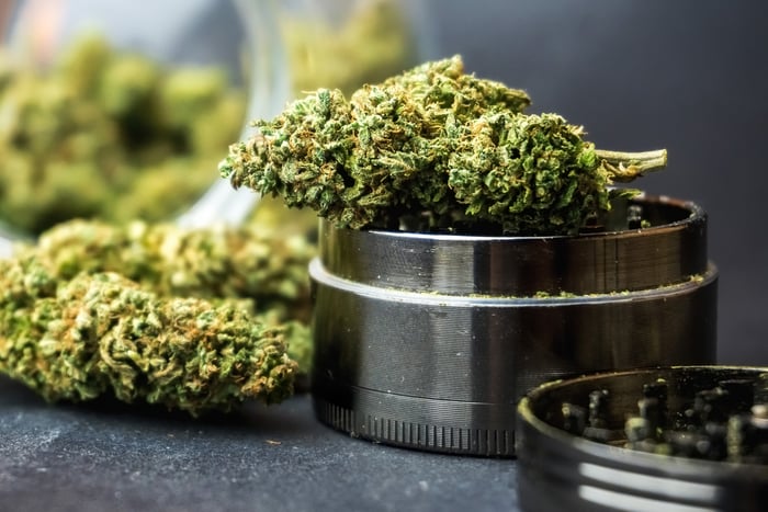 A marijuana bud in a grinder.