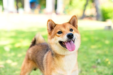 GettyImages-1267935446