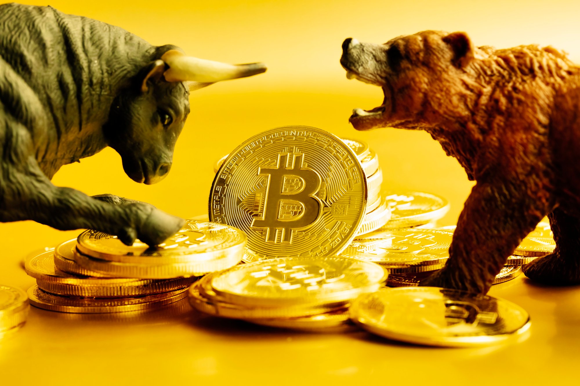 Crypto