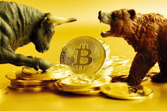 A bull and a bear facing off atop a pile of large, golden coins bearing the Bitcoin logo.