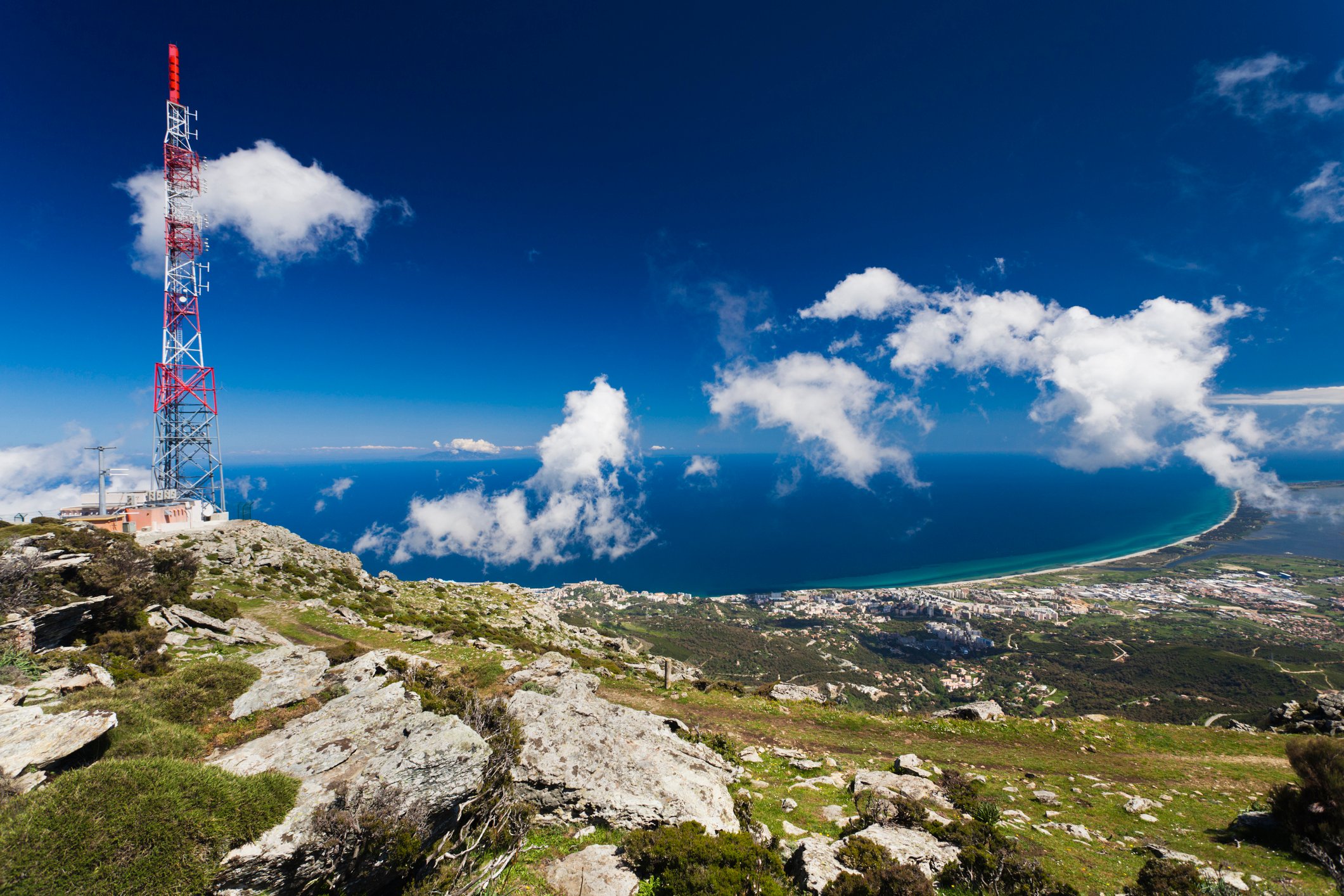 A cell phone tower sits on a landscape.