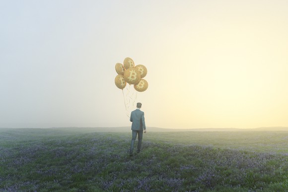 A person wearing a suit holding Bitcoin balloons in a field.