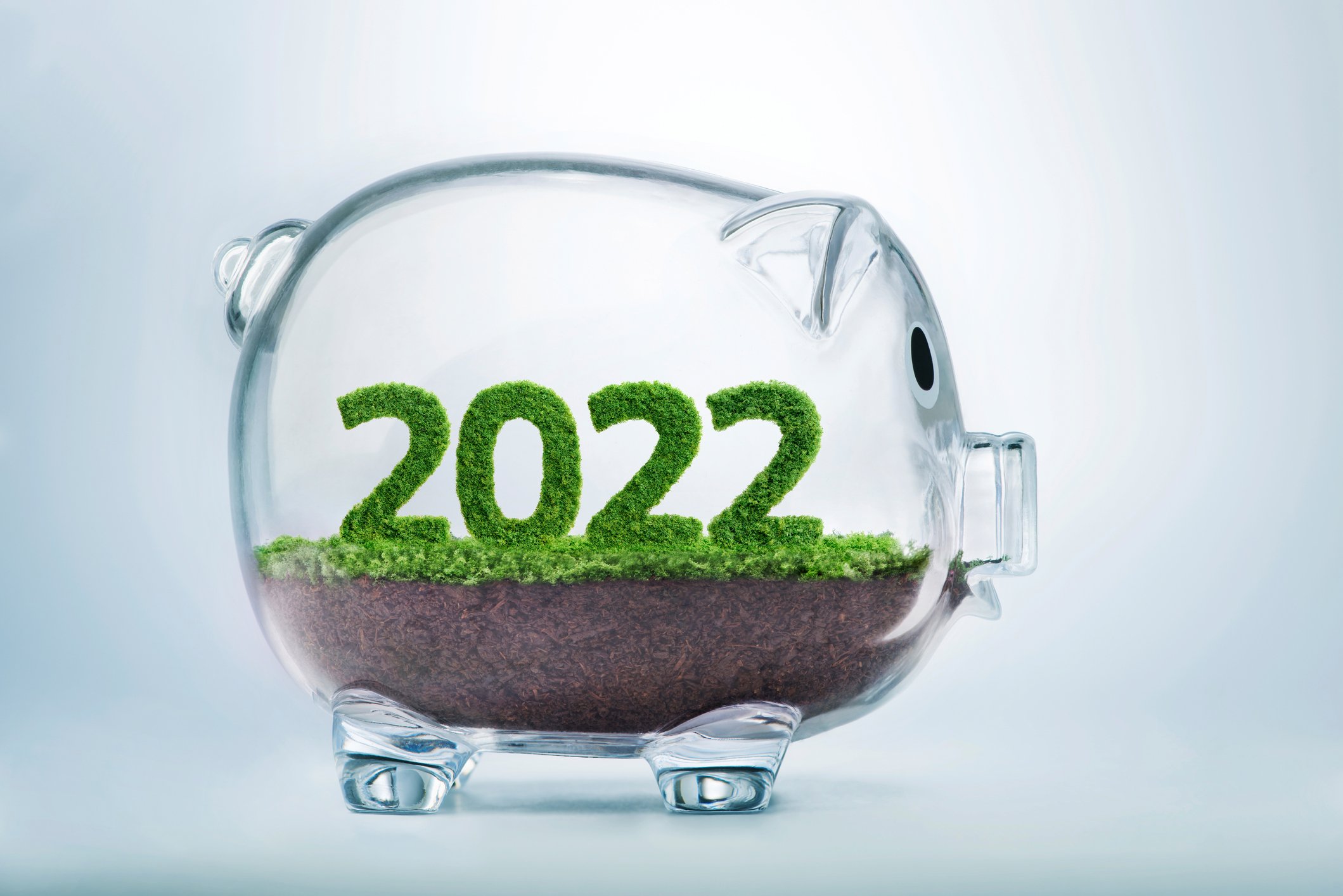 Glass piggybank with plants inside that form the year 2022. 