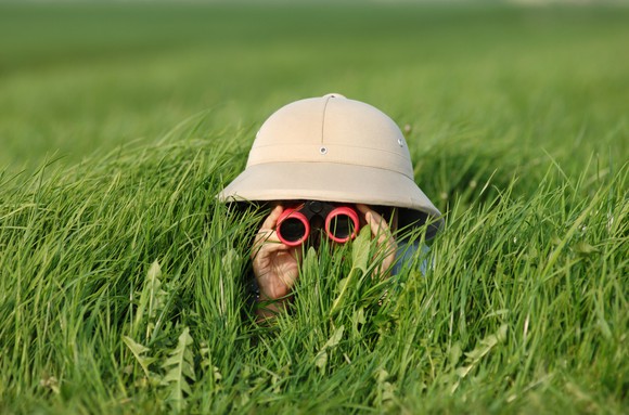 Person wearing a safari hat in tall grass using binoculars to search.
