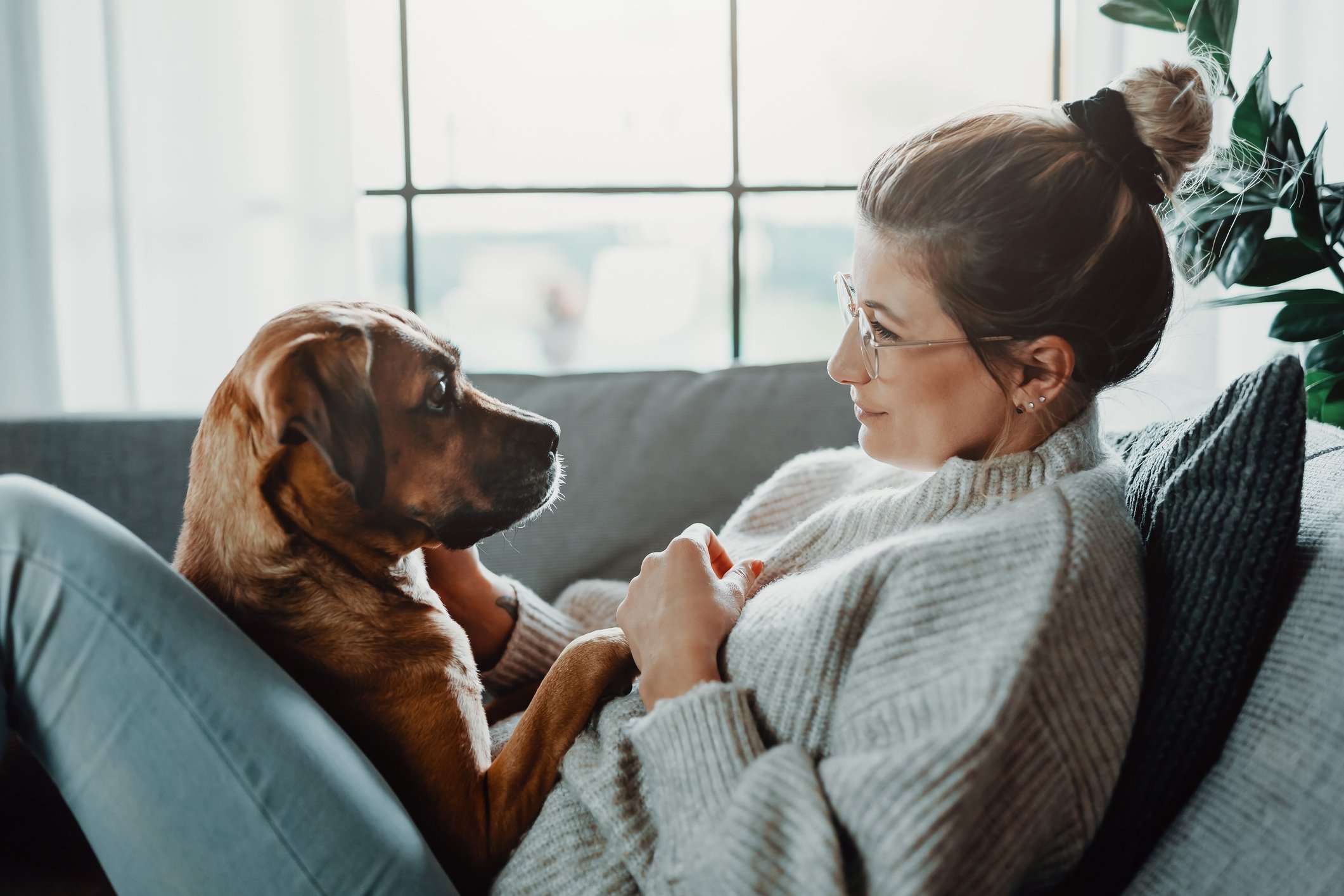 A person sits on their couch looking at their dog.