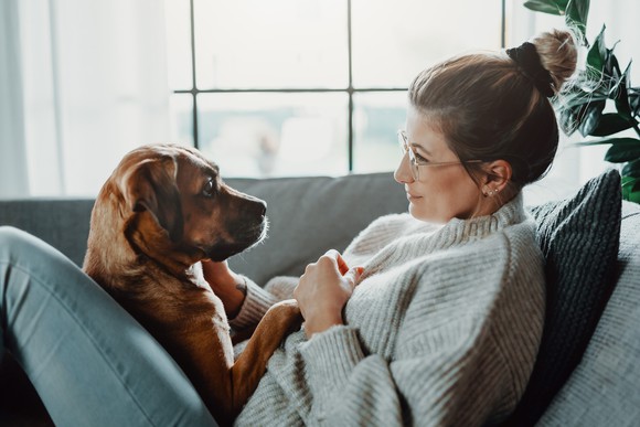 A person sits on their couch looking at their dog.