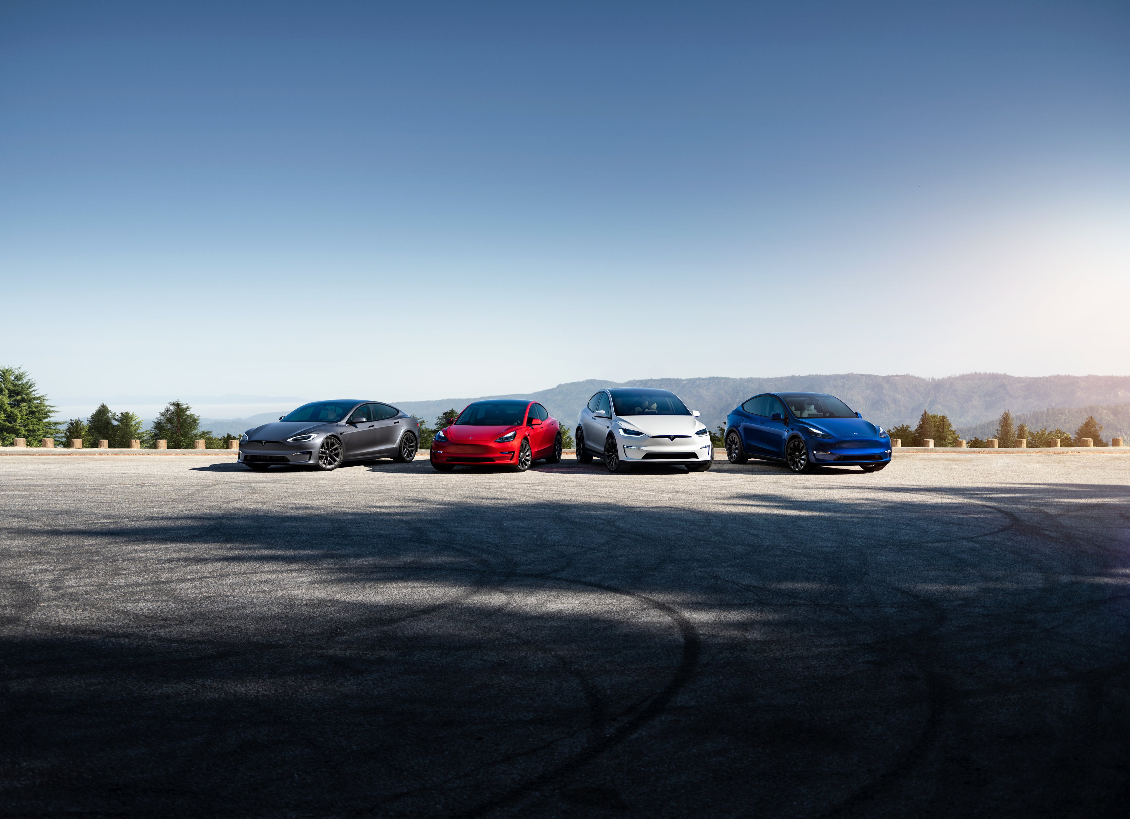 group of Tesla cars parked in lot overlooking mountains.