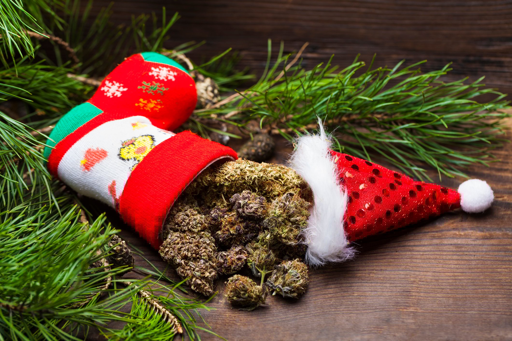 Marijuana in stocking with Santa hat.
